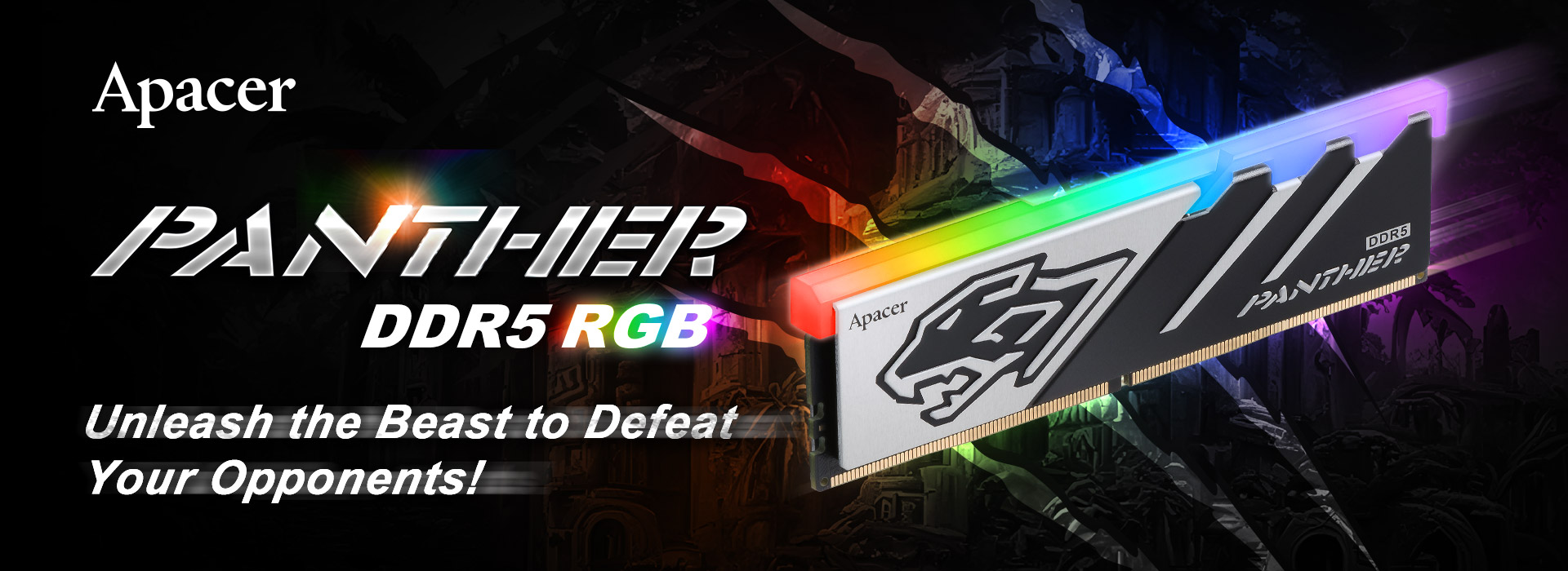 Panther_DDR5_RGB.jpg (250 KB)